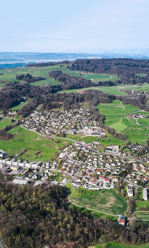 Bergdietikon